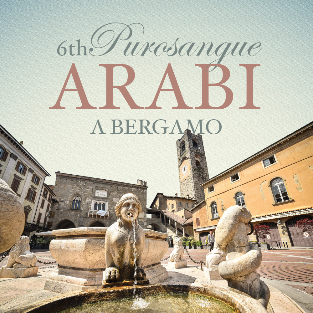 6° Purosangue Arabi a Bergamo